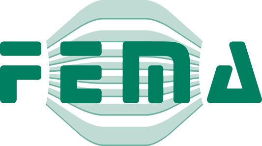 Logo FEMA